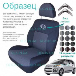 Чохли Citroen C3 Picasso 2009 → miniven